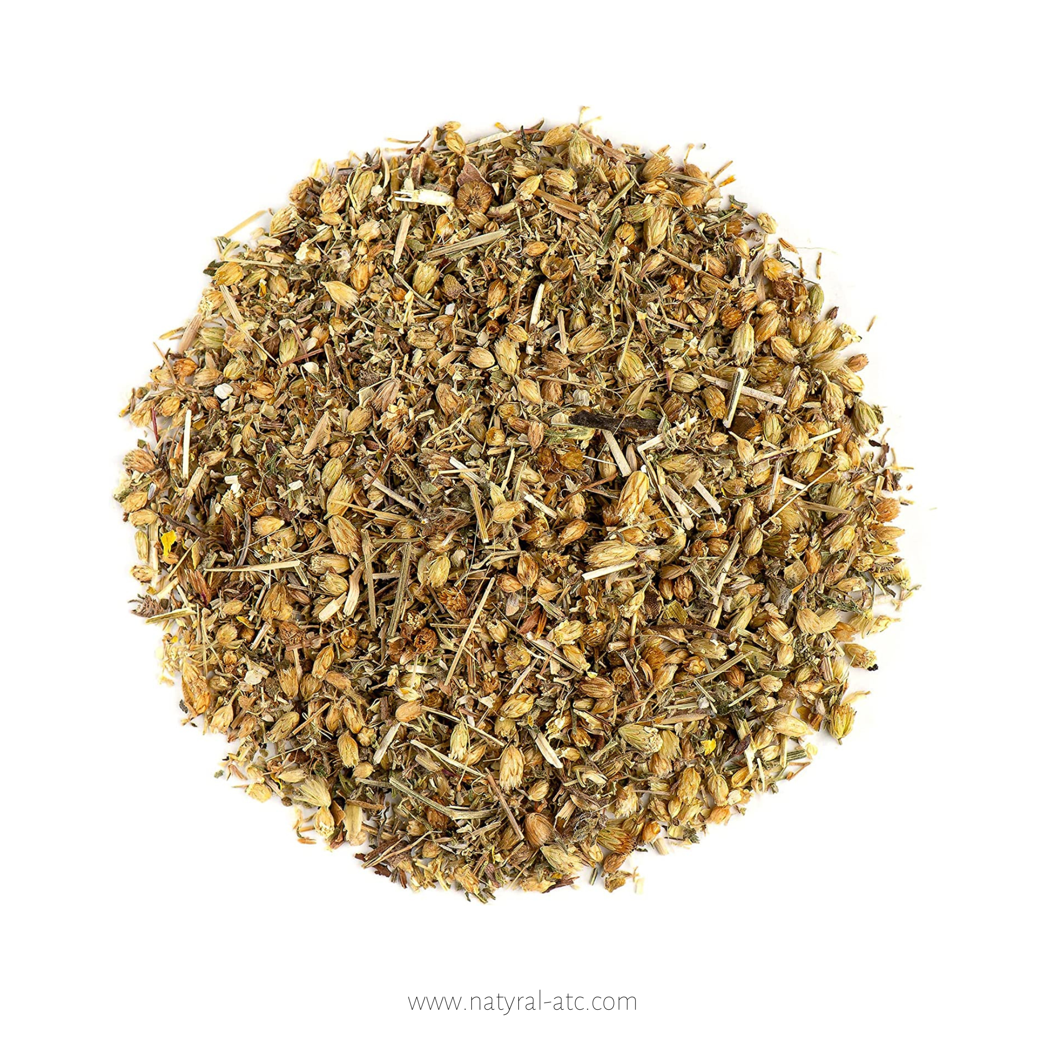 Achillea Millefolium