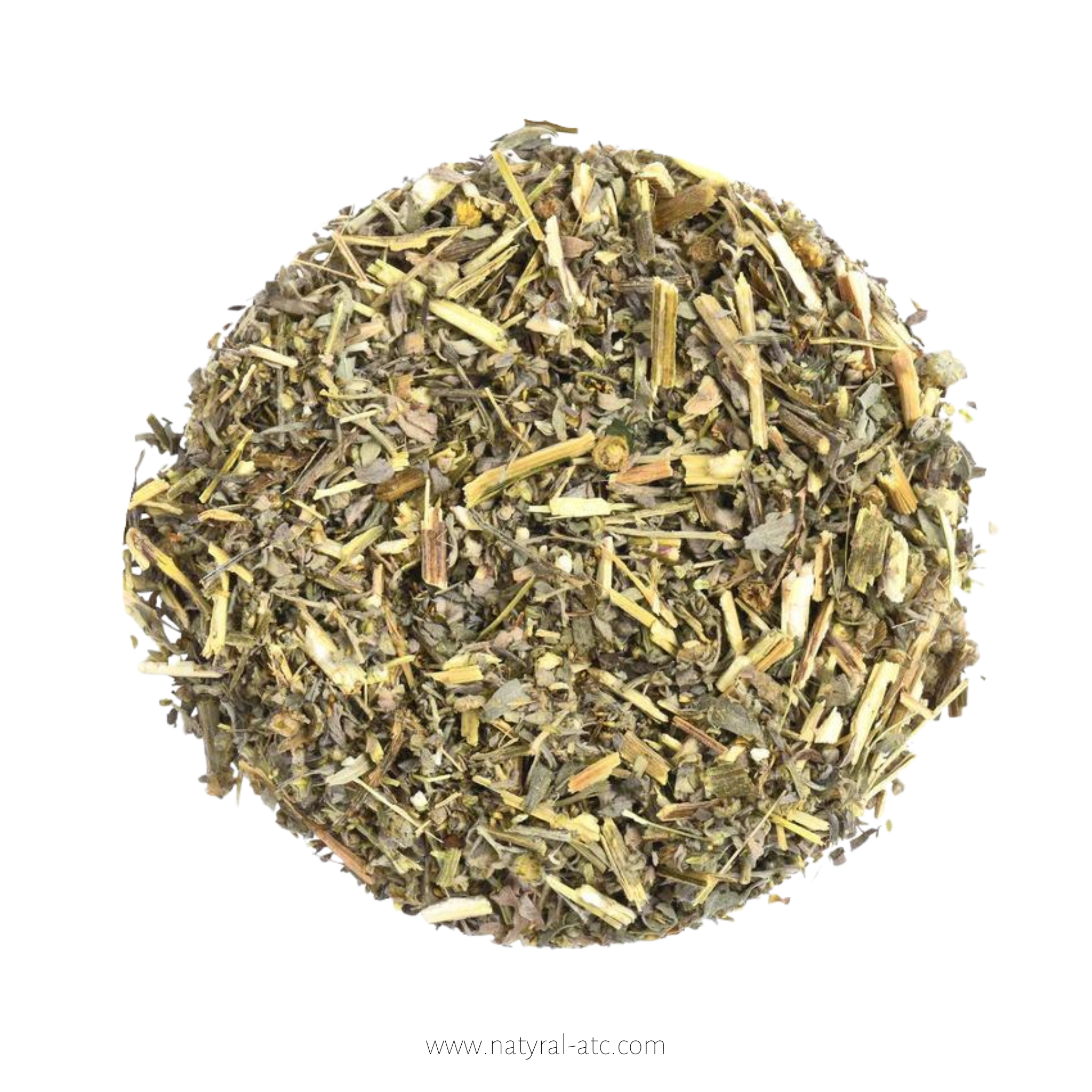 Artemisia Absinthi