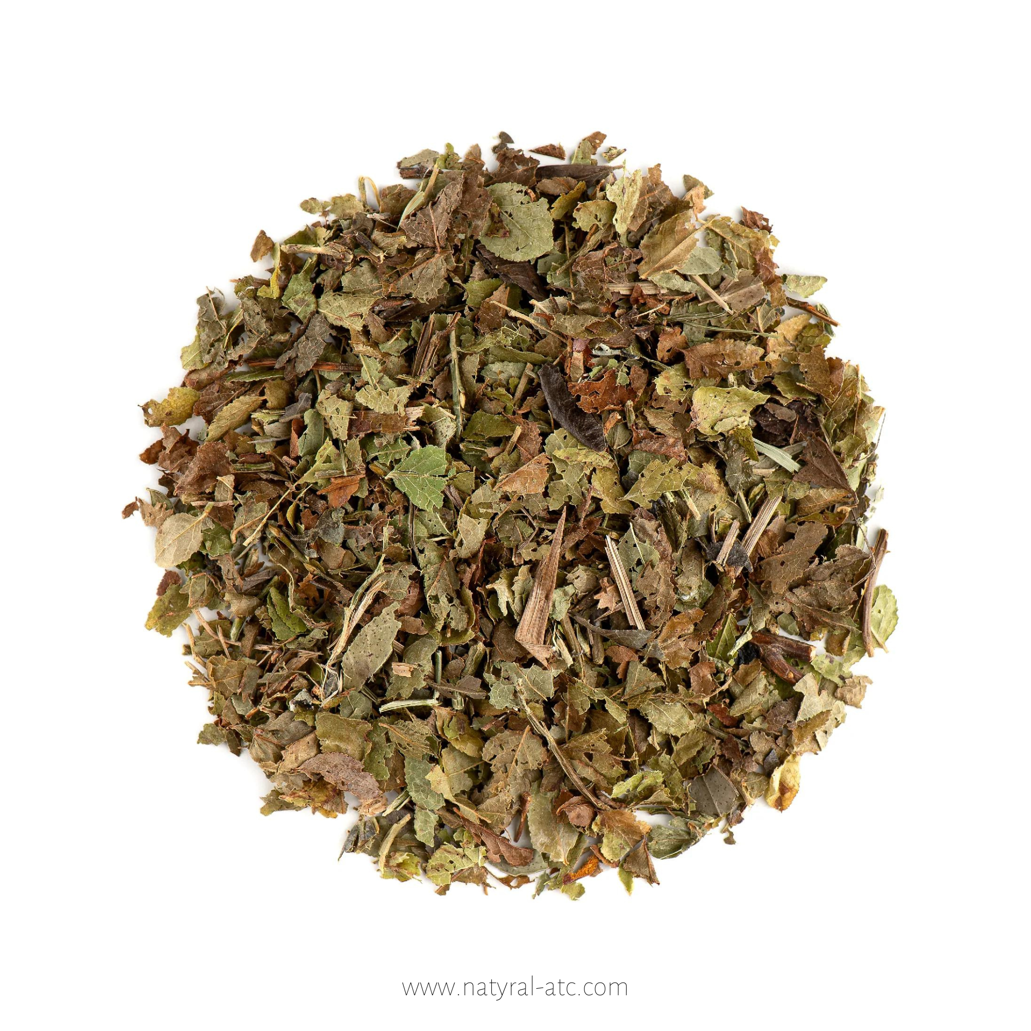 Bilberry Leaf – Vaccinium myrtillus
