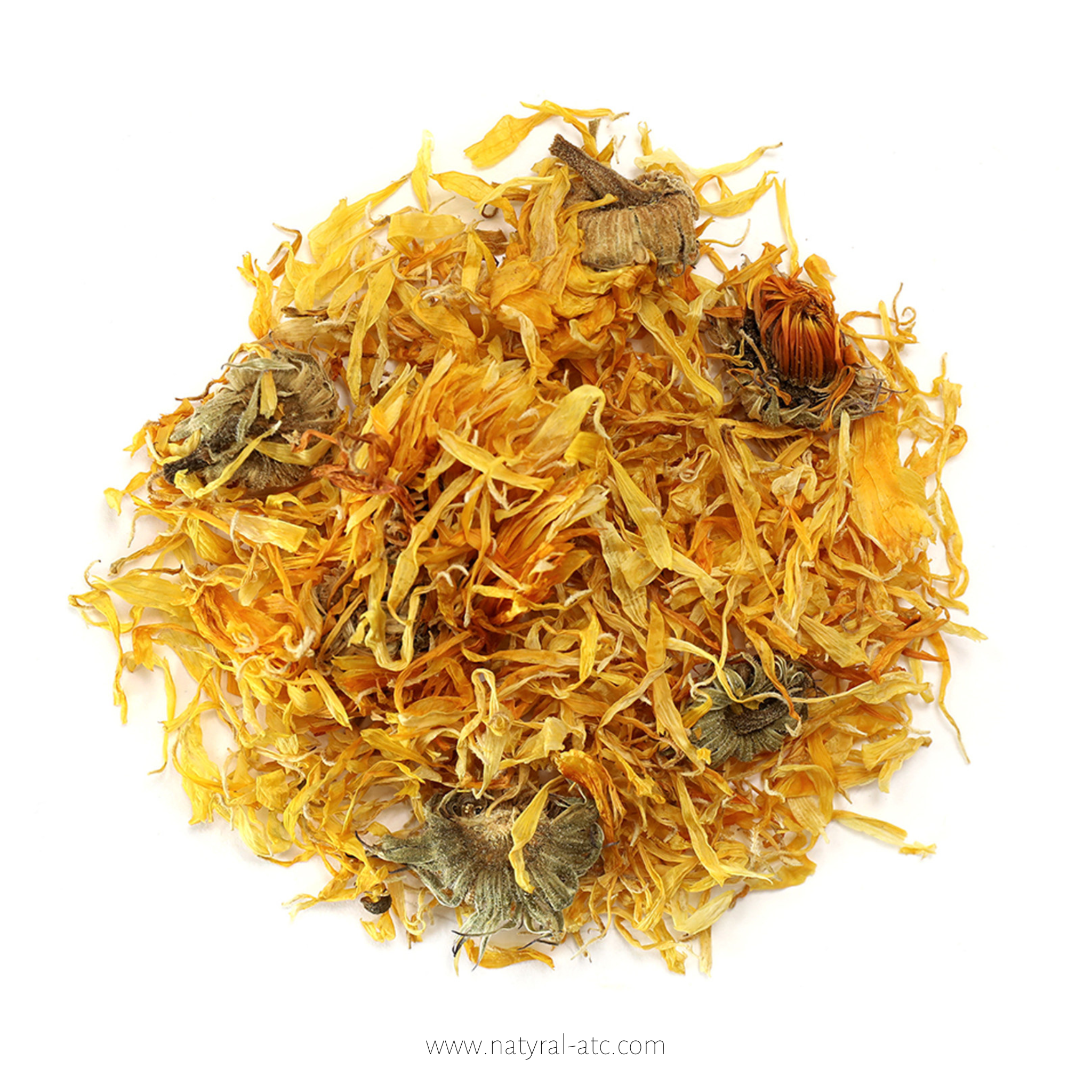 Calendula – Calendula officinalis