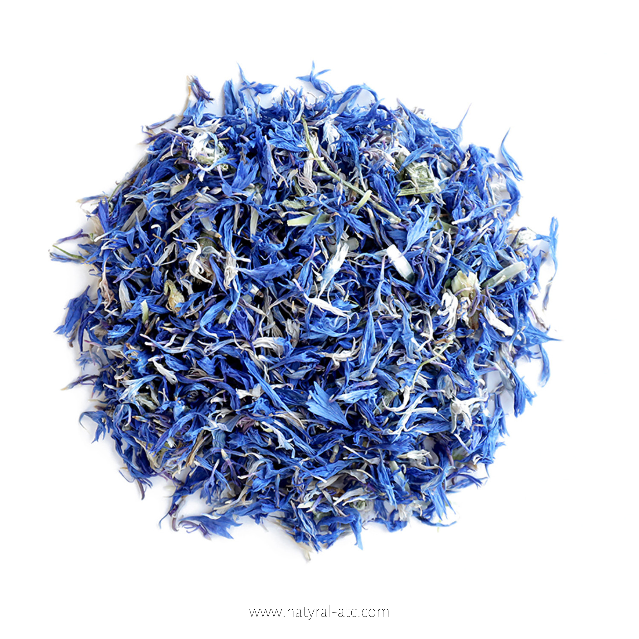 Cyan Flower – Centaurea Cyanus