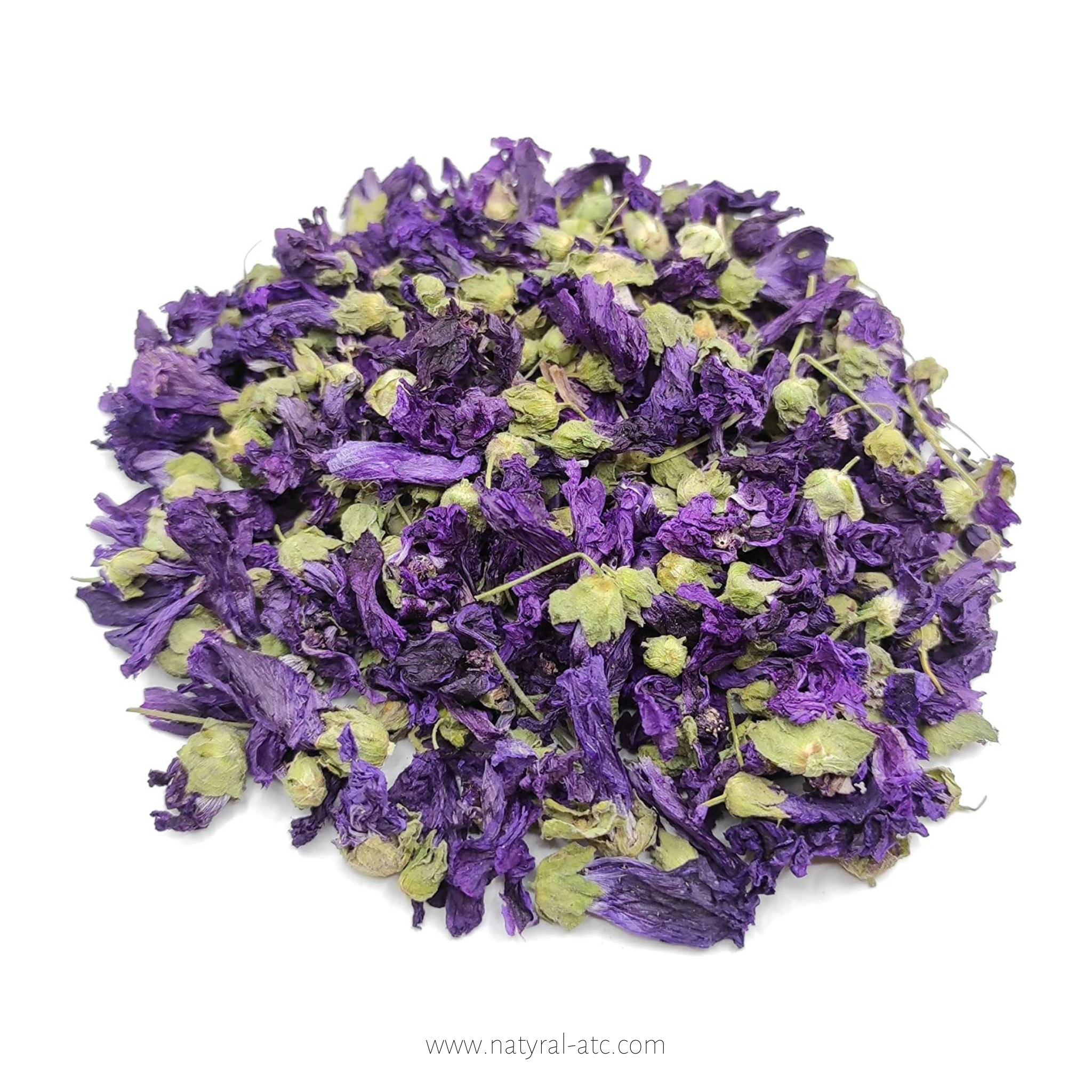Malva Sylvestris