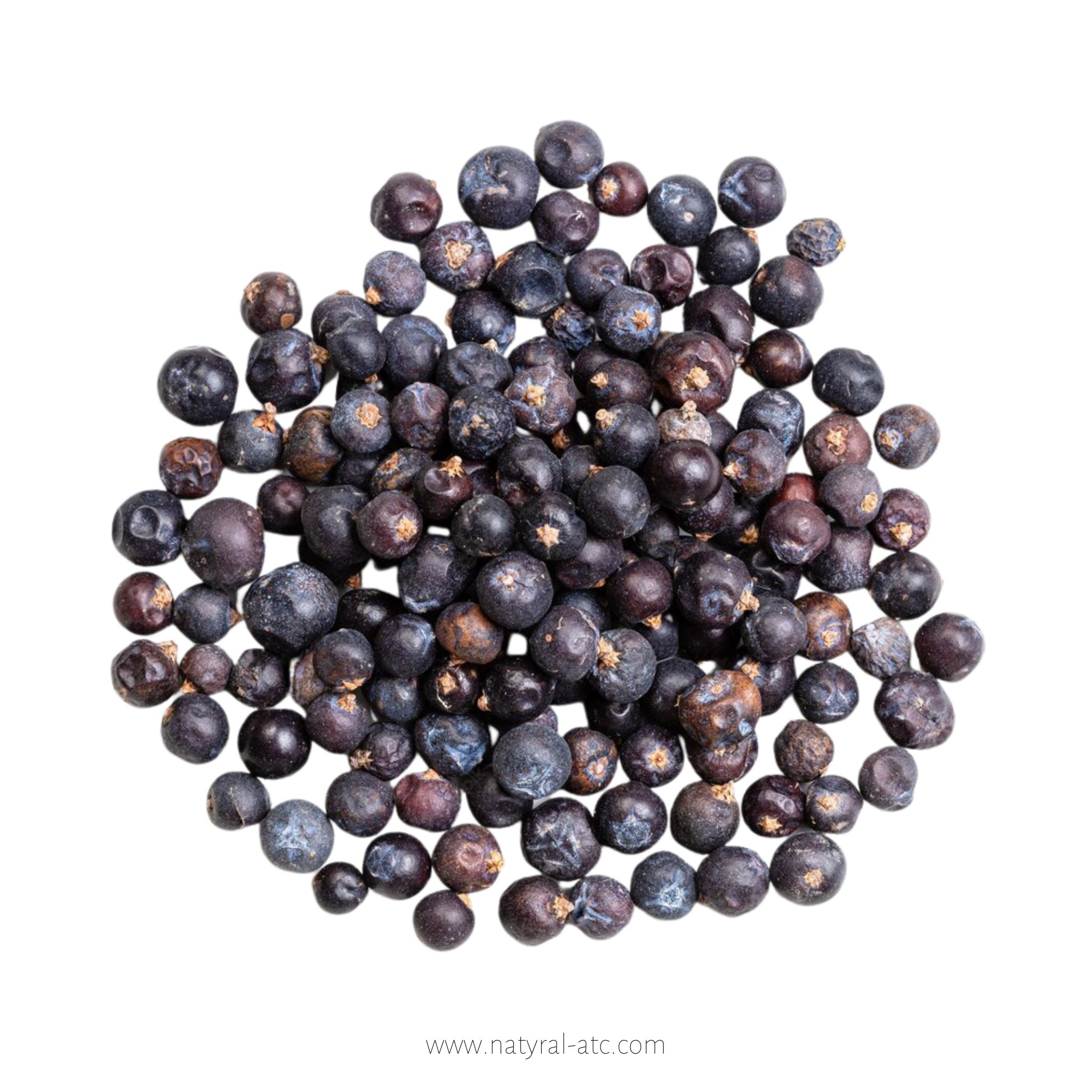 Juniperus Communis