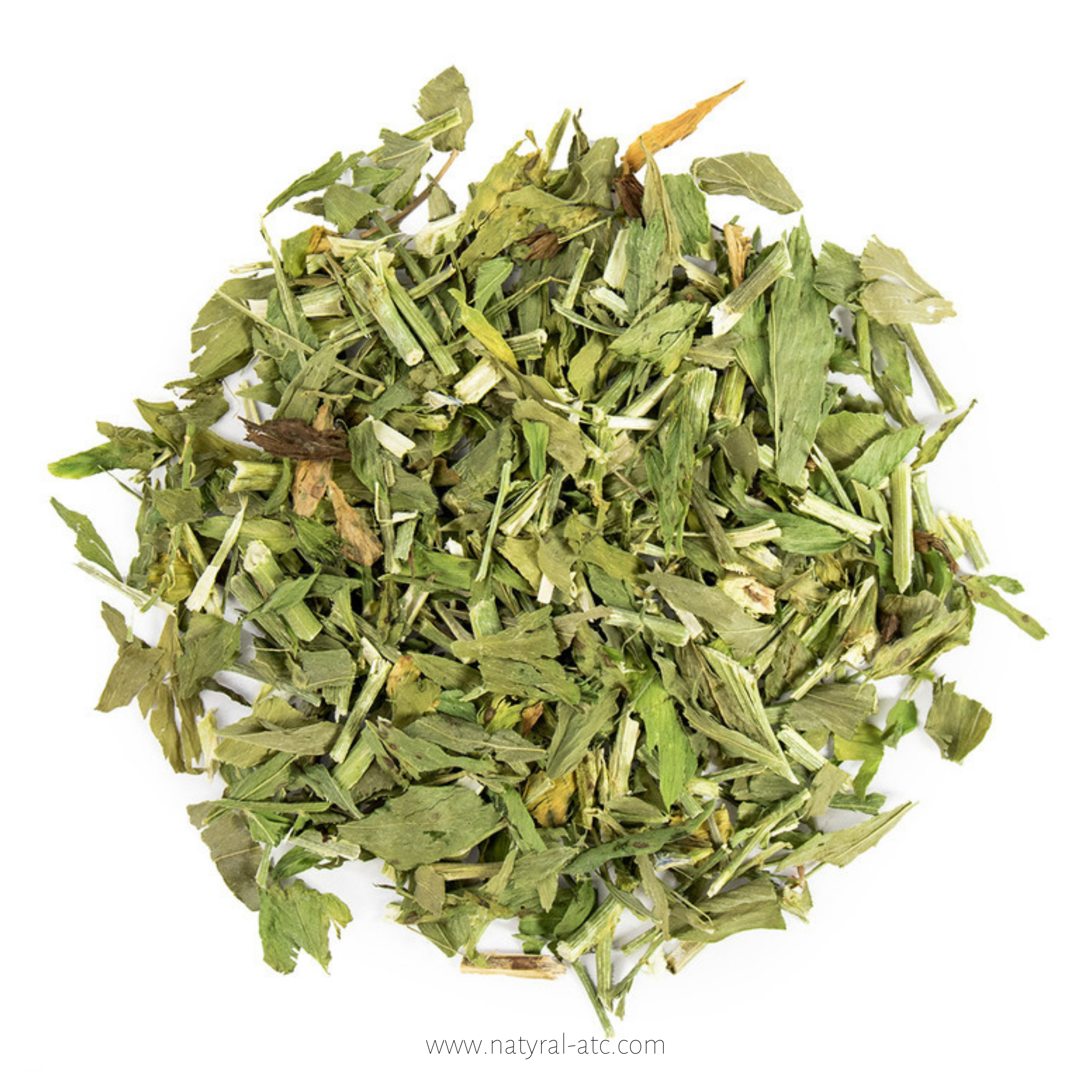 Galega Officinalis