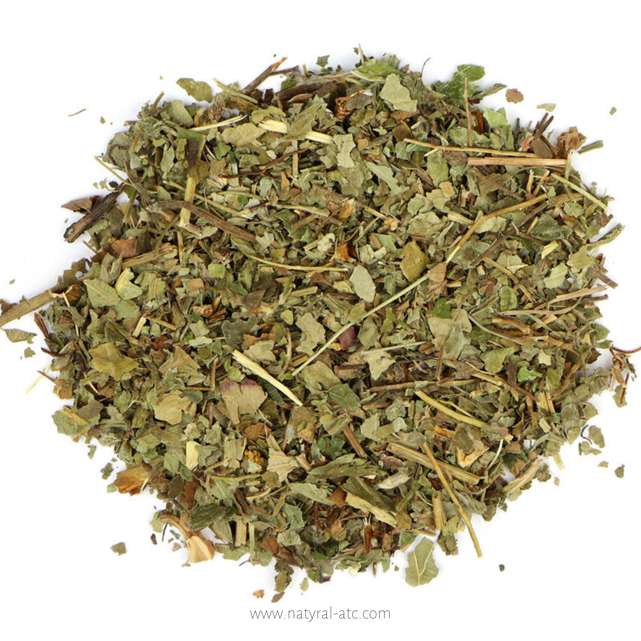 Fragaria vesca