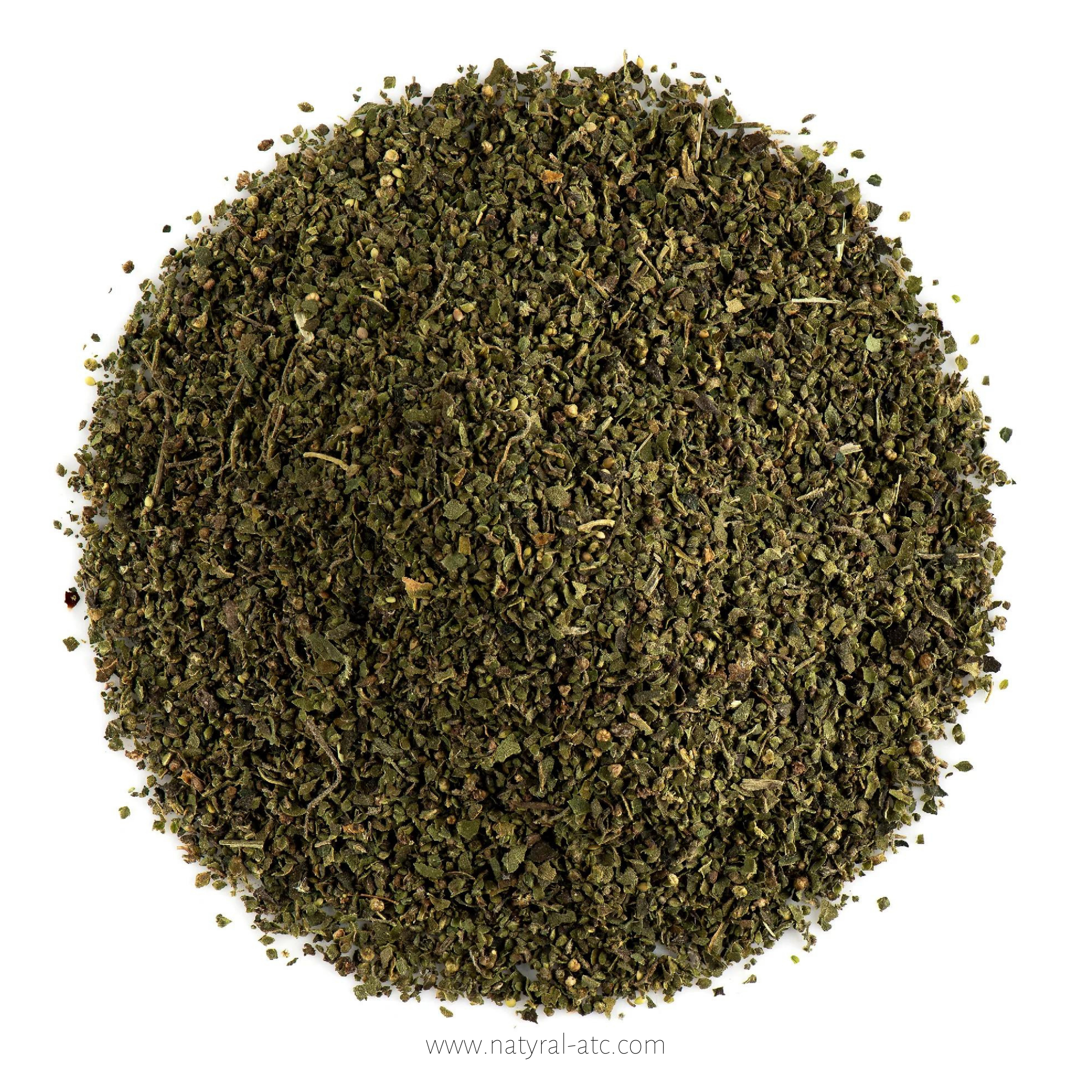 Urtica Dioica – Stinging Nettle