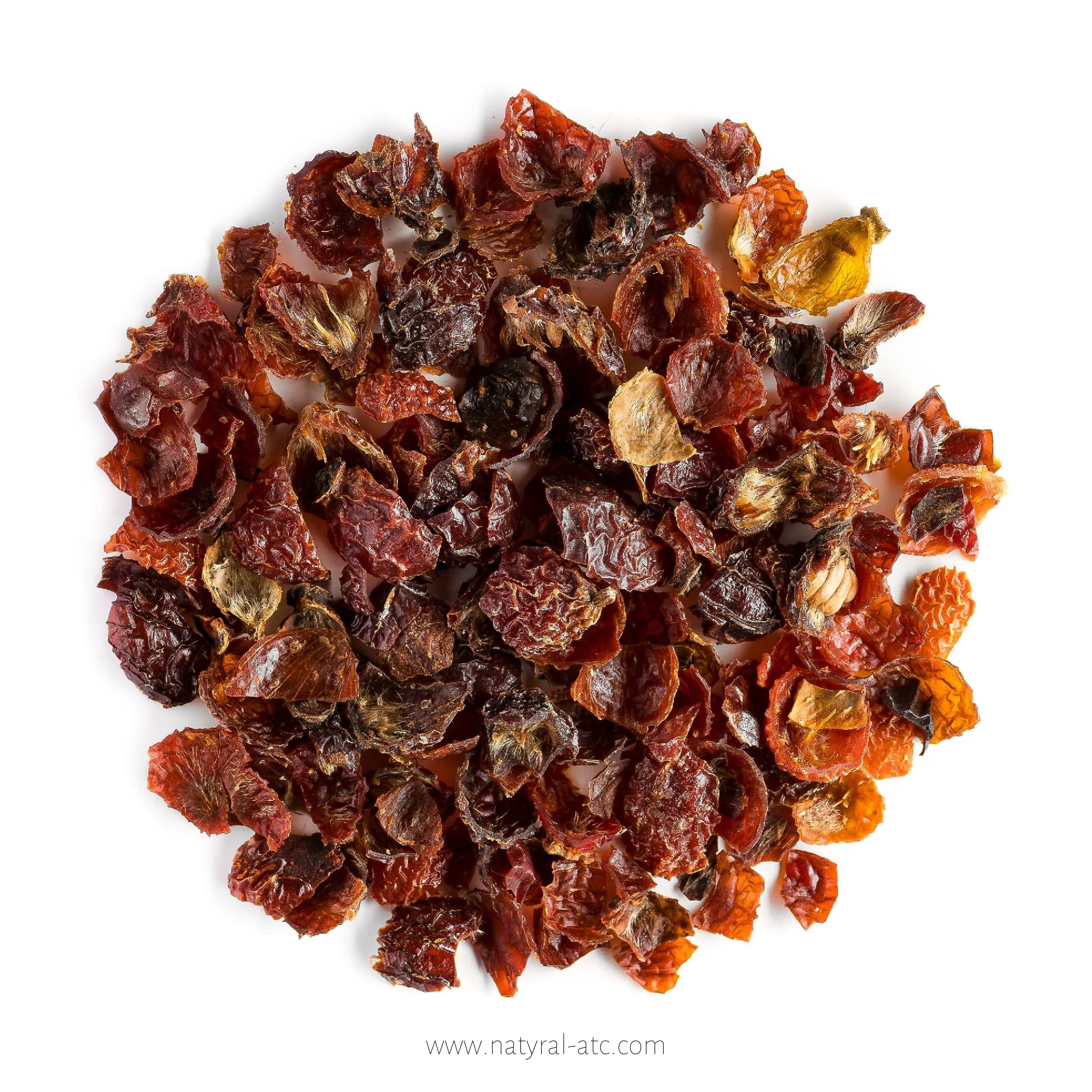 Rosehip – Rosa Canina
