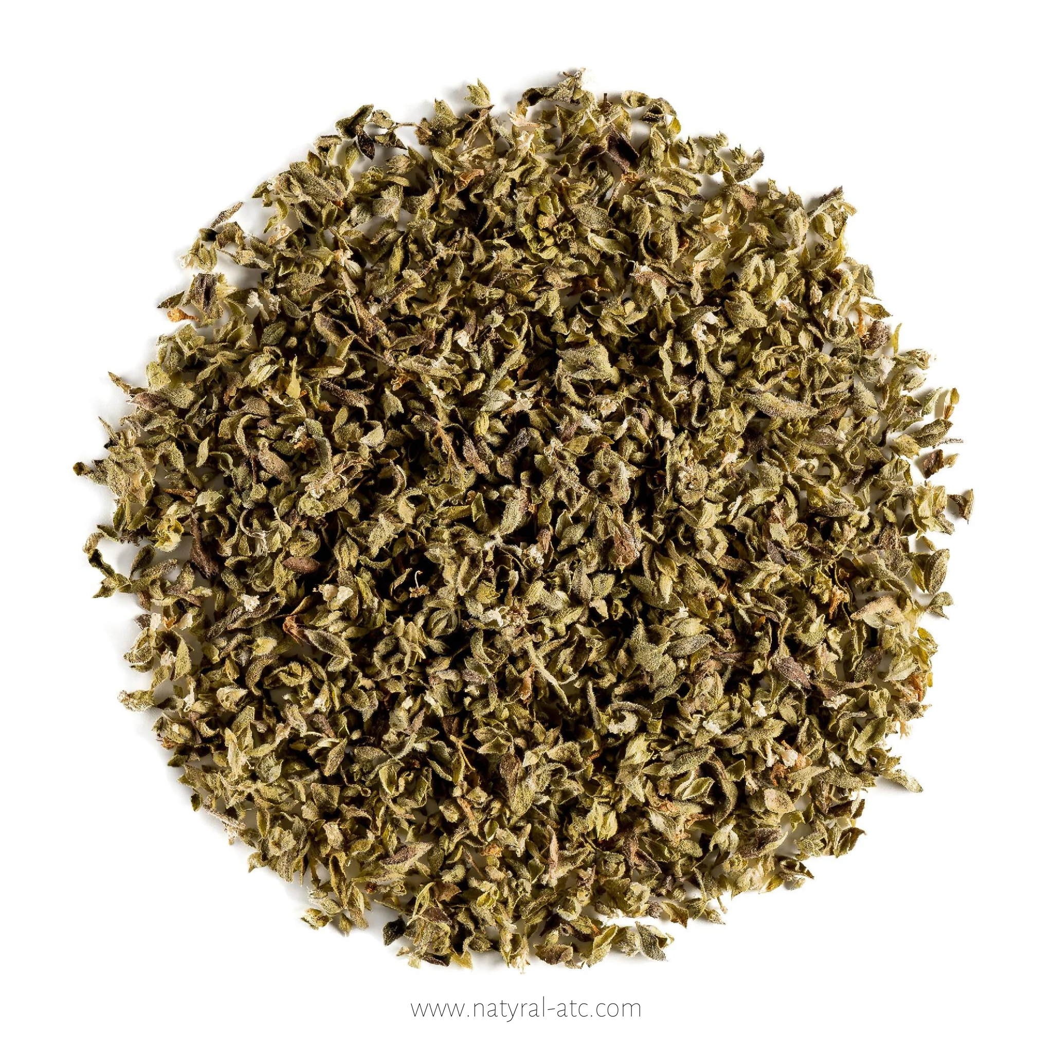 Oregano – Origanum Vulgare